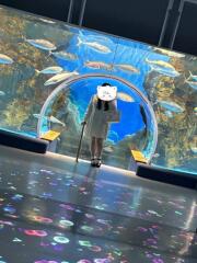 写メ伝言板投稿画像：「?」