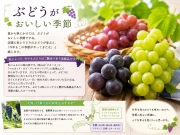 写メ伝言板投稿画像：「ぶどうがおいしい季節」