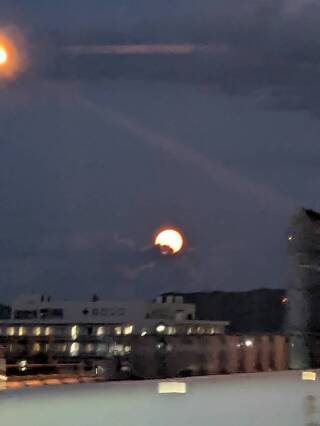 写メ伝言板サムネイル