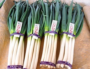 写メ伝言板サムネイル