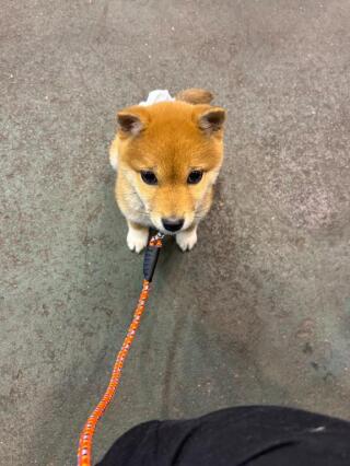 写メ伝言板サムネイル