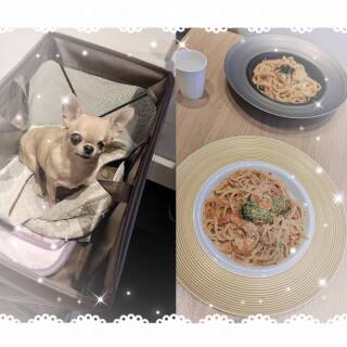 写メ伝言板サムネイル