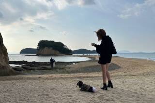 写メ伝言板サムネイル