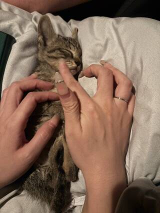 写メ伝言板サムネイル