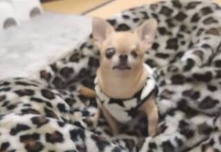 写メ伝言板サムネイル