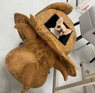写メ伝言板サムネイル