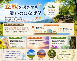 写メ伝言板サムネイル