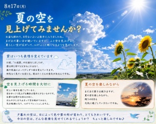 写メ伝言板サムネイル